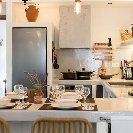 فيلة Seaside Ktima Kaparos Paros دريوس