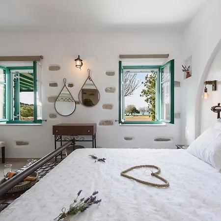 Seaside Ktima Kaparos Paros فيلة