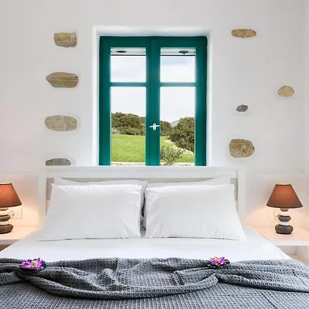 Seaside Ktima Kaparos Paros فيلة دريوس