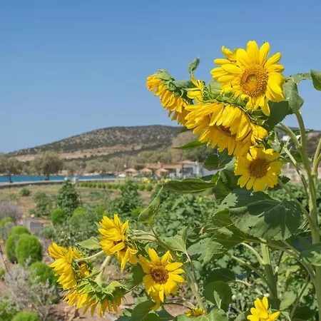 וילה Seaside Ktima Kaparos Paros