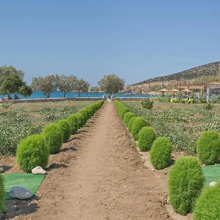 וילה Seaside Ktima Kaparos Paros *