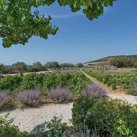 Seaside Ktima Kaparos Paros וילה