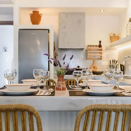 Seaside Ktima Kaparos Paros וילה *