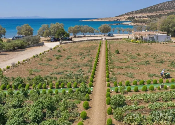 Willa Seaside Ktima Kaparos Paros Drios