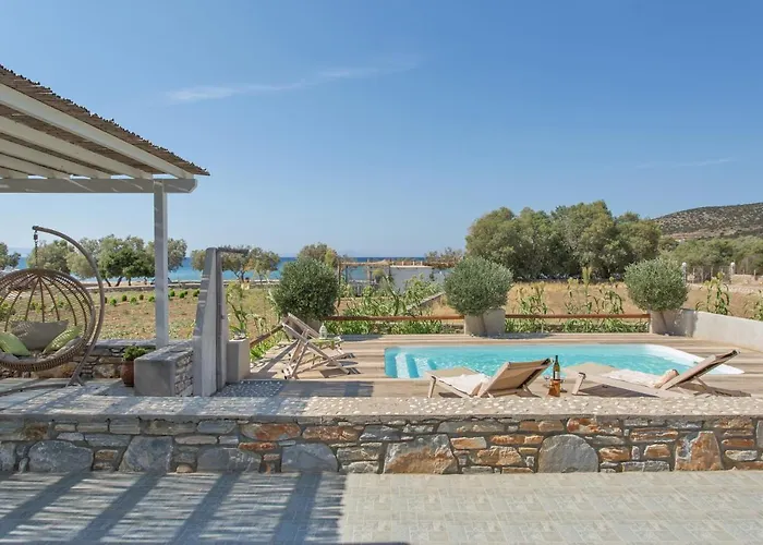 Seaside Ktima Kaparos Paros Villa Drios