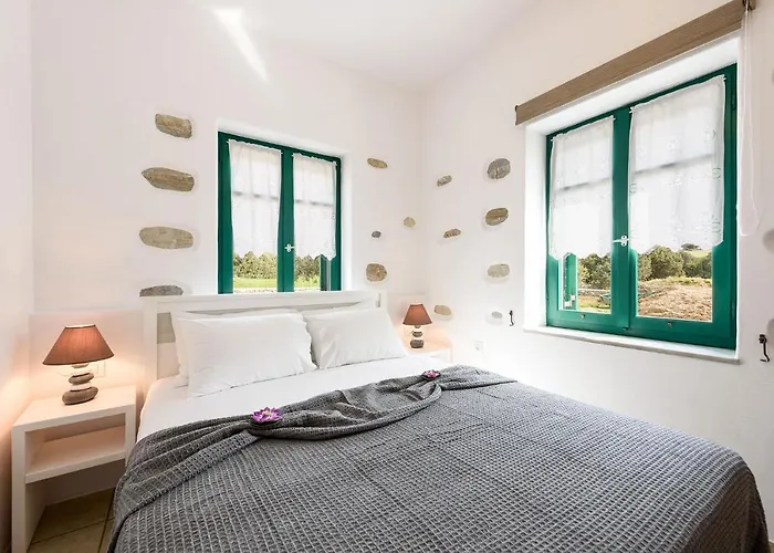 Seaside Ktima Kaparos Paros Drios