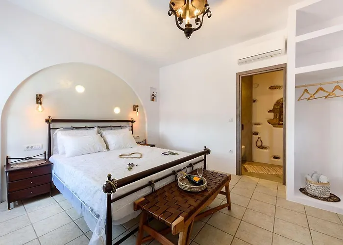 Seaside Ktima Kaparos Paros Villa