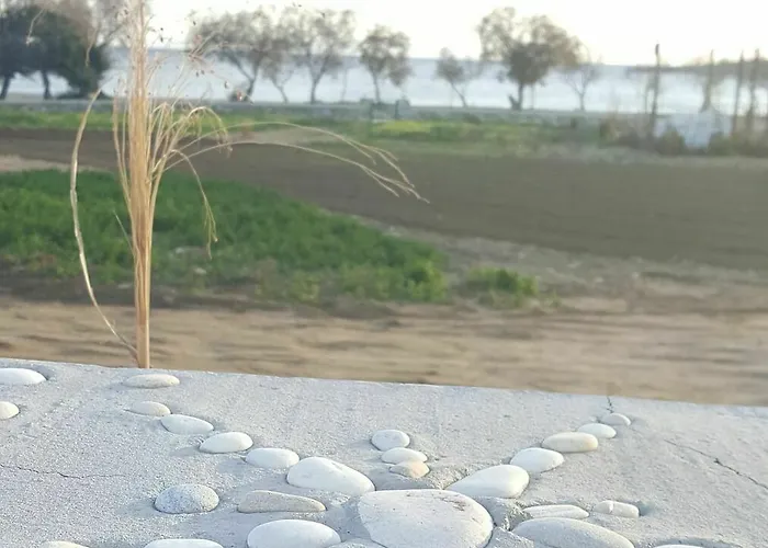 Seaside Ktima Kaparos Paros Willa